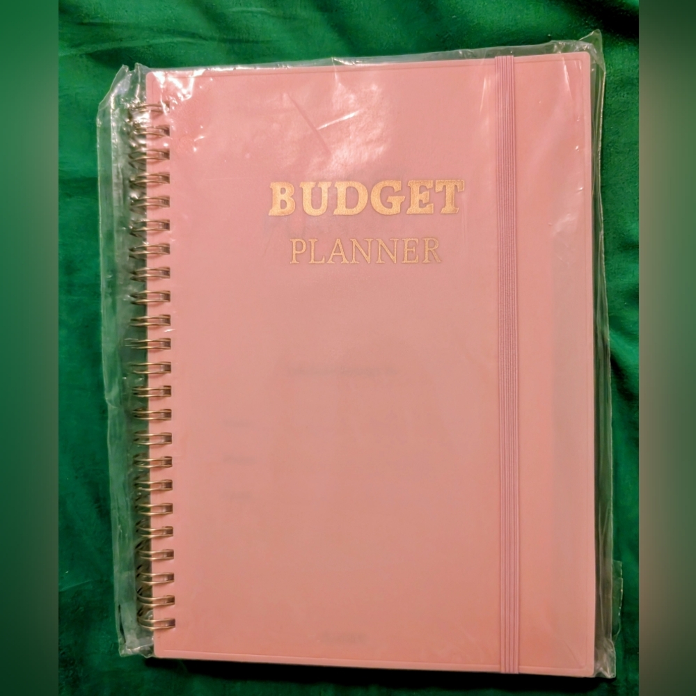 Pink Undated 12 Month Bill Organizer Finance Planner